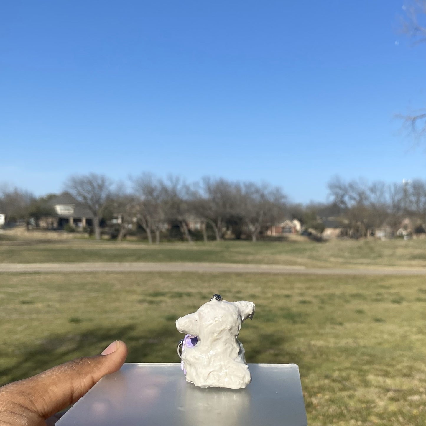 Lamb Charm