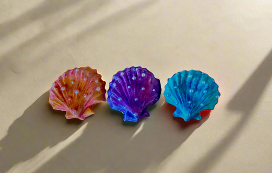 Sea Shells