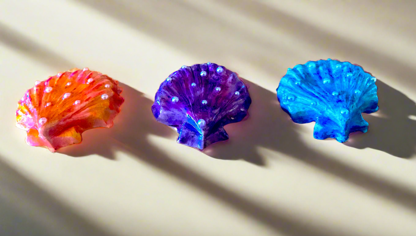 Sea Shells
